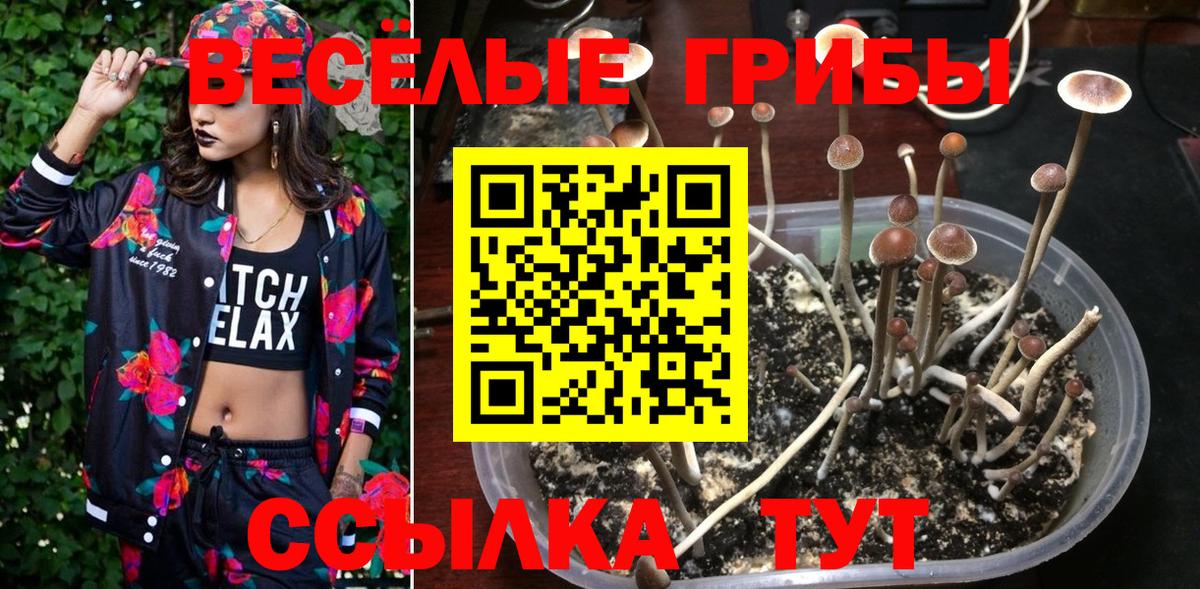 Можайск  Галлюциногенные грибы мухоморы  Вход с VPN 